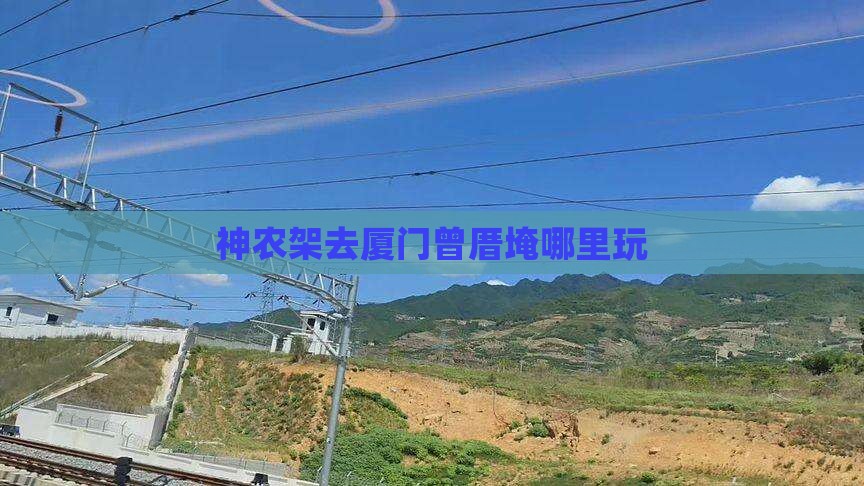 神农架去厦门曾厝埯哪里玩