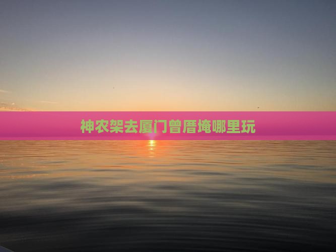 神农架去厦门曾厝埯哪里玩