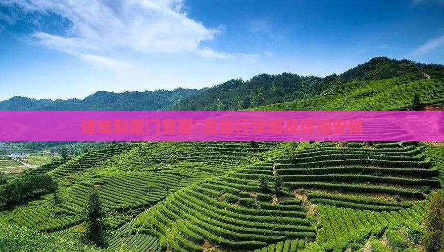 诸城到厦门曾厝垵自由行攻略及详细安排