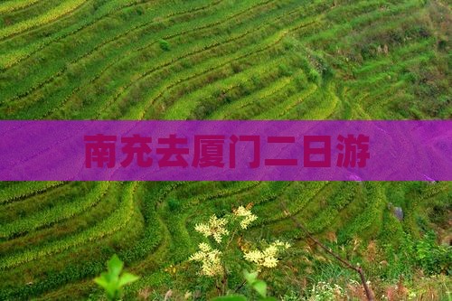 南充去厦门二日游