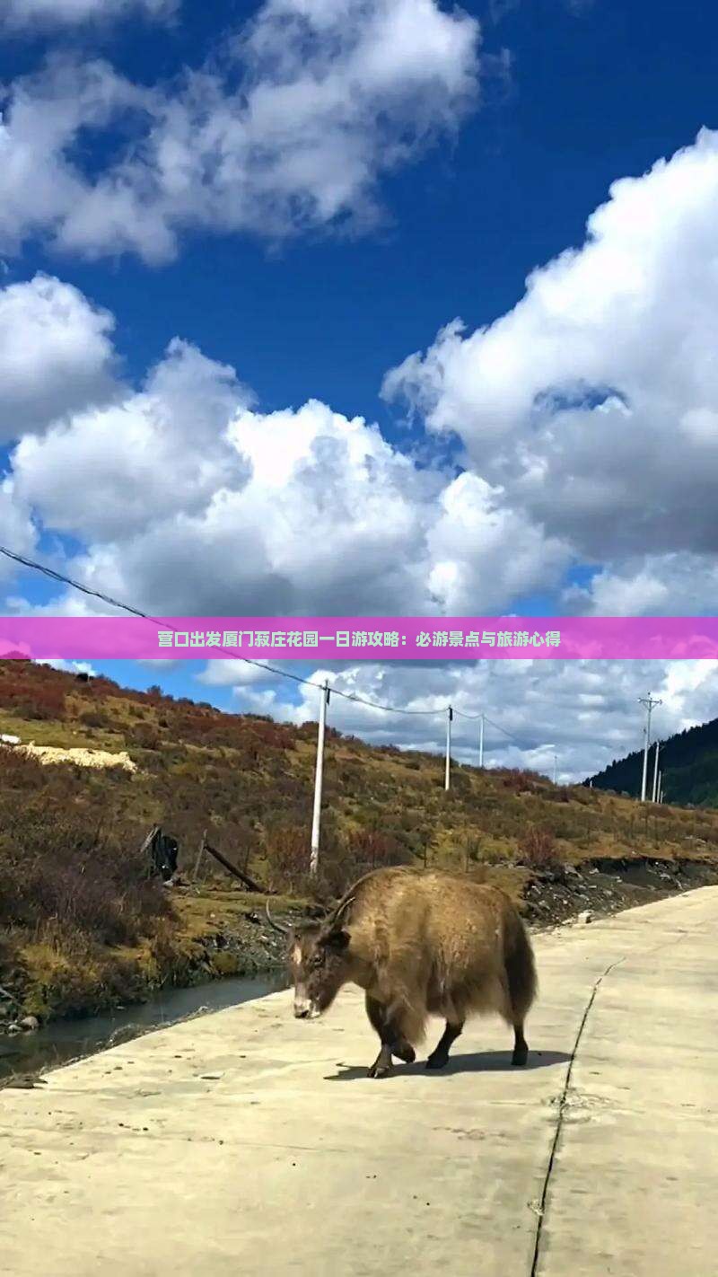营口出发厦门菽庄花园一日游攻略：必游景点与旅游心得