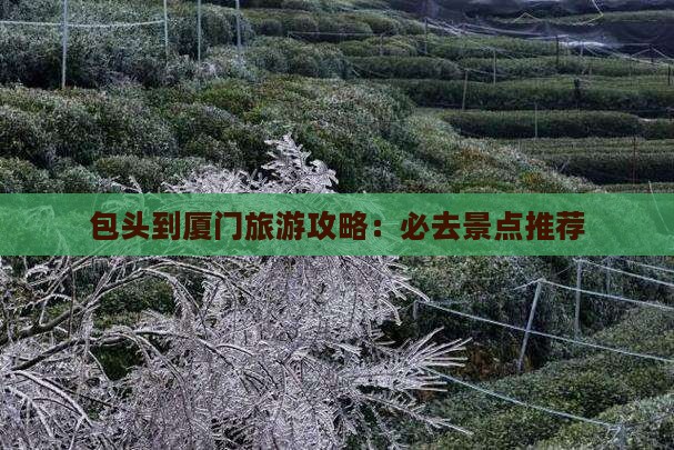 包头到厦门旅游攻略：必去景点推荐