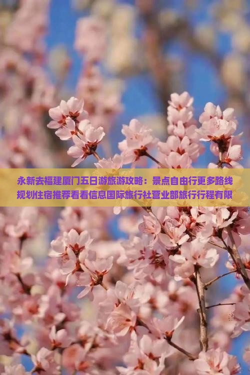 永新去福建厦门五日游旅游攻略：景点自由行更多路线规划住宿推荐看看信息国际旅行社营业部旅行行程有限