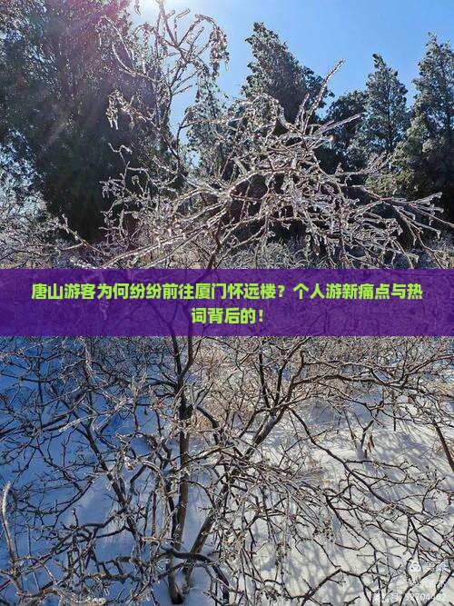 唐山游客为何纷纷前往厦门怀远楼？个人游新痛点与热词背后的！