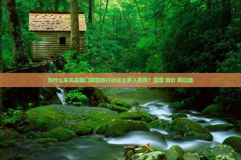 为什么来宾去厦门毓园旅行社这么多人推荐？露营+低价+网红地