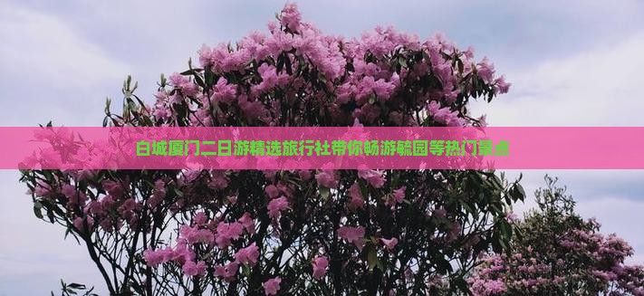 白城厦门二日游精选旅行社带你畅游毓园等热门景点