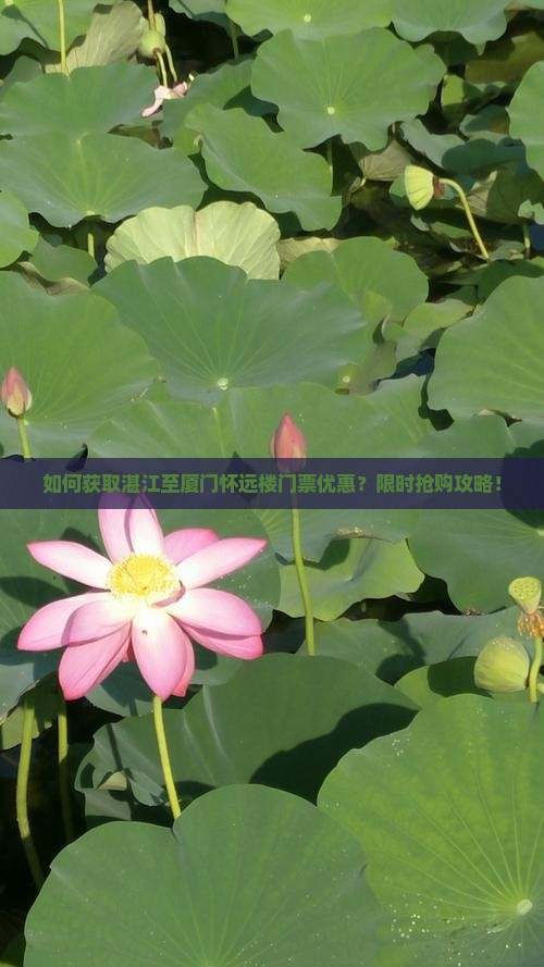 如何获取湛江至厦门怀远楼门票优惠？限时抢购攻略！