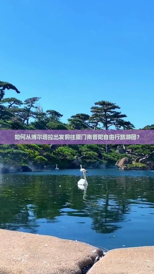 如何从博尔塔拉出发前往厦门南普陀自由行旅游团？