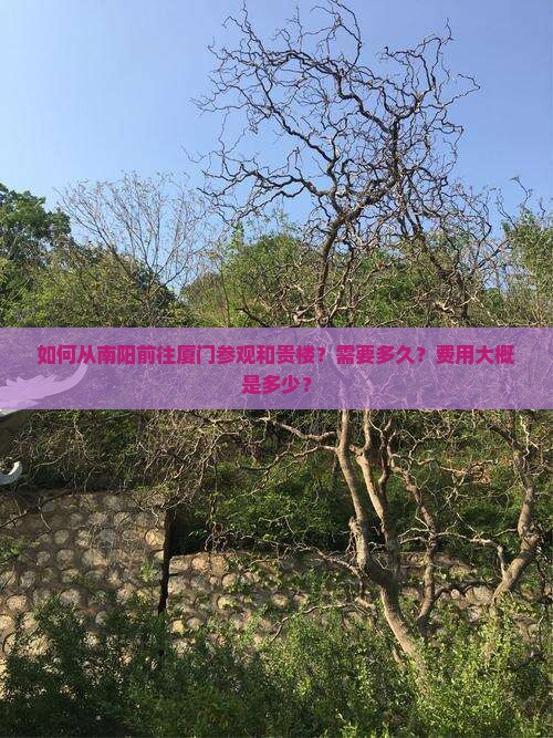 如何从南阳前往厦门参观和贵楼？需要多久？费用大概是多少？