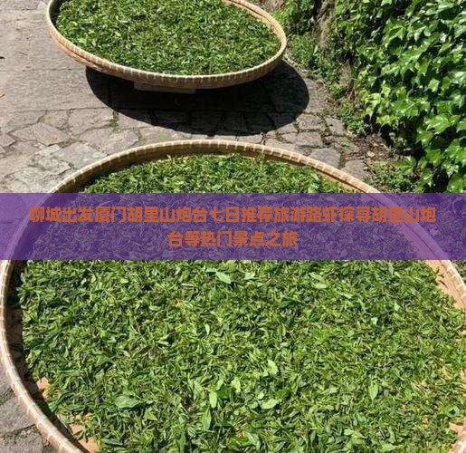 聊城出发厦门胡里山炮台七日推荐旅游路虾探寻胡里山炮台等热门景点之旅