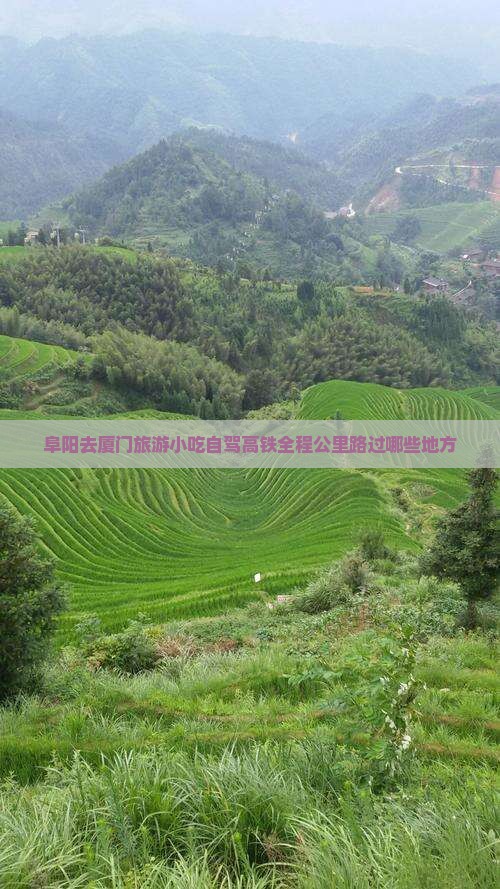 阜阳去厦门旅游小吃自驾高铁全程公里路过哪些地方