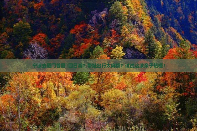 宁波去厦门曾厝垵四日游？带娃出行太麻烦？试试这波亲子热梗！