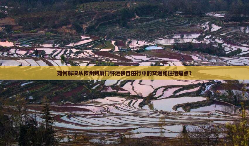 如何解决从钦州到厦门怀远楼自由行中的交通和住宿痛点？