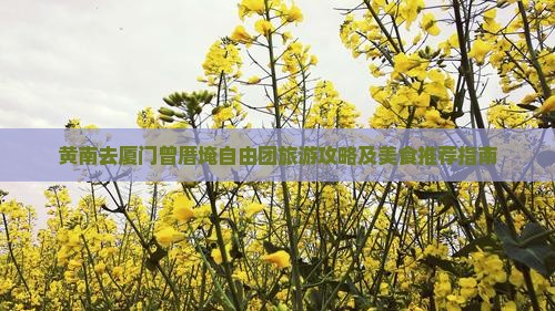 黄南去厦门曾厝埯自由团旅游攻略及美食推荐指南