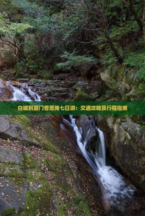 白城到厦门曾厝埯七日游：交通攻略及行程指南
