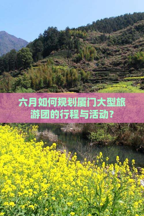 六月如何规划厦门大型旅游团的行程与活动？