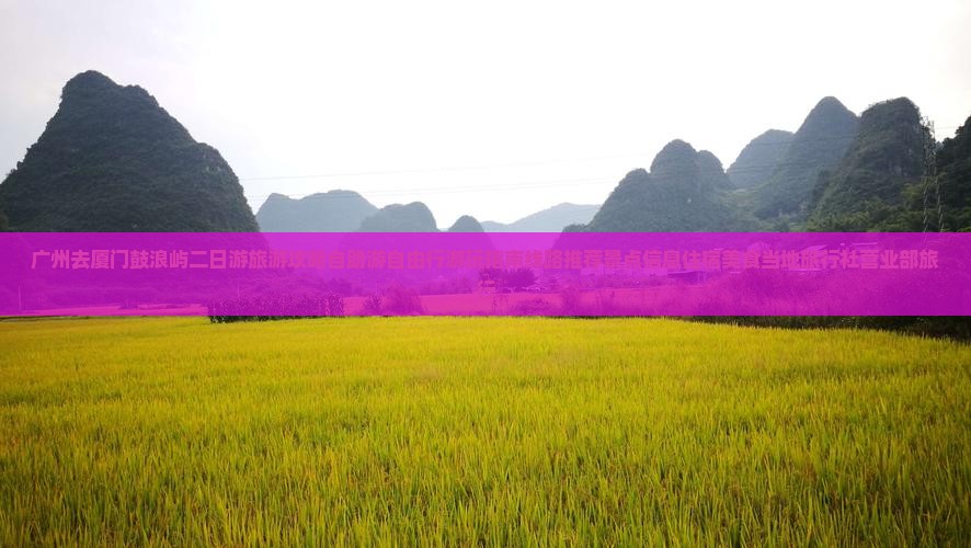 广州去厦门鼓浪屿二日游旅游攻略自助游自由行游玩指南线路推荐景点信息住宿美食当地旅行社营业部旅行