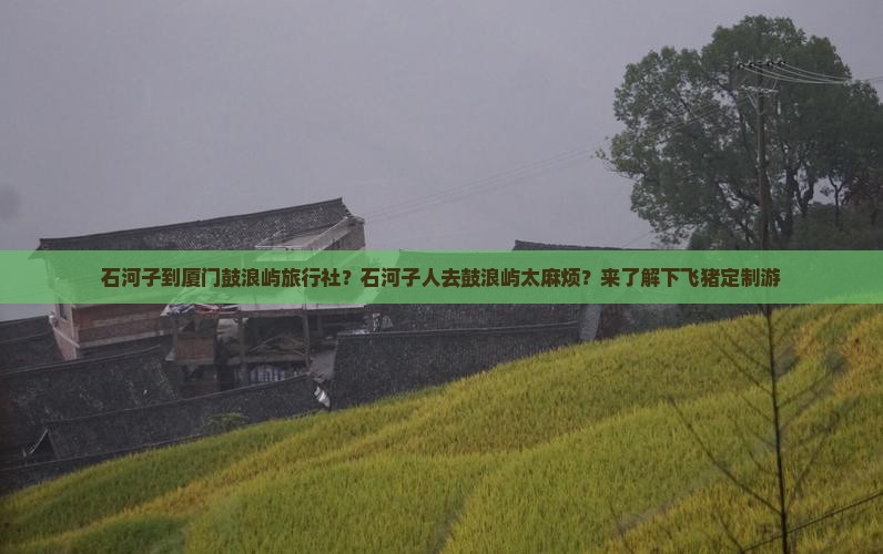 石河子到厦门鼓浪屿旅行社？石河子人去鼓浪屿太麻烦？来了解下飞猪定制游
