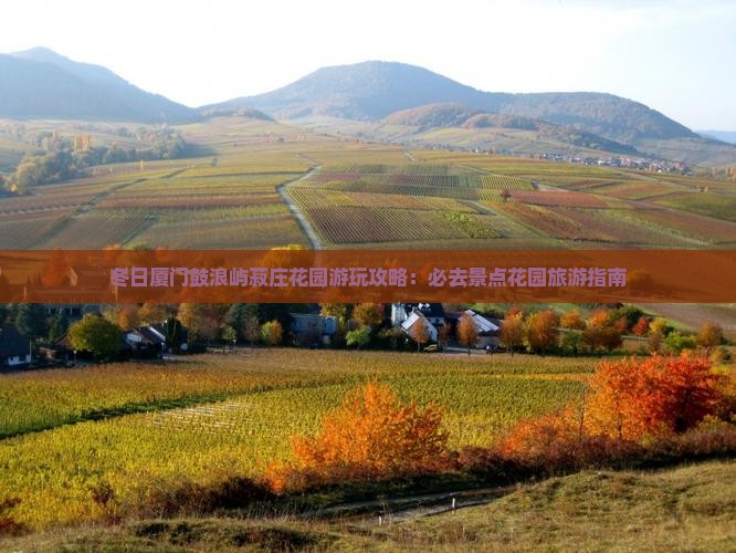 冬日厦门鼓浪屿菽庄花园游玩攻略：必去景点花园旅游指南