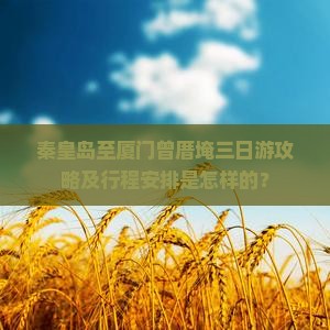 秦皇岛至厦门曾厝埯三日游攻略及行程安排是怎样的？