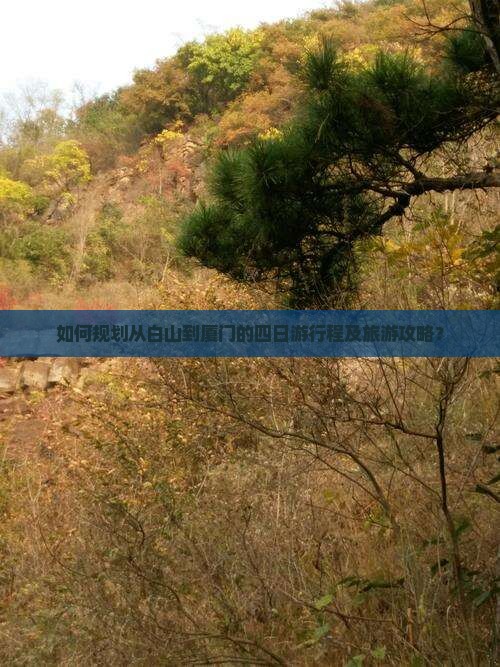 如何规划从白山到厦门的四日游行程及旅游攻略？
