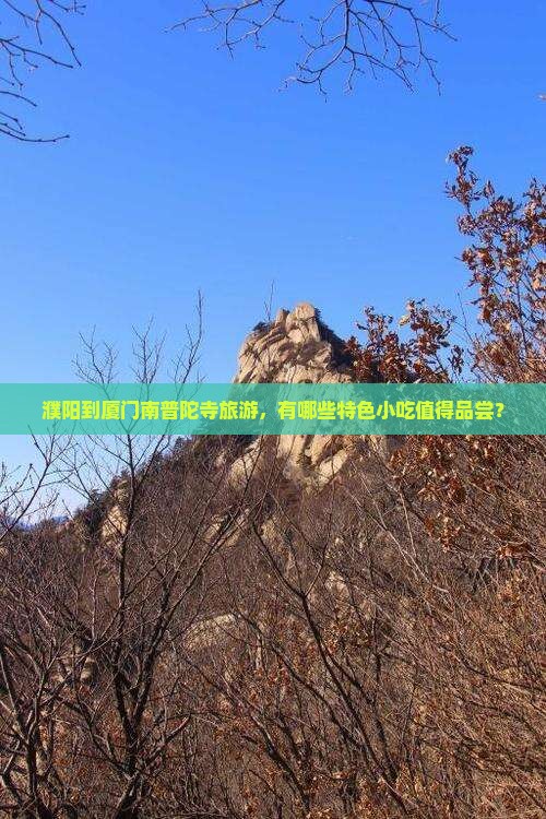 濮阳到厦门南普陀寺旅游，有哪些特色小吃值得品尝？