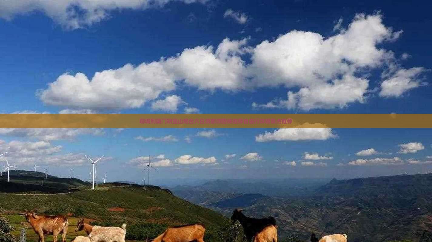 聊城到厦门胡里山炮台六日游旅游路线推荐自由行攻略景点推荐