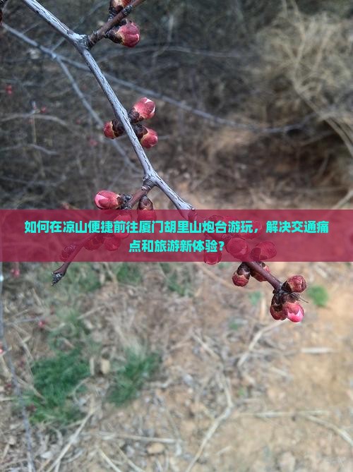 如何在凉山便捷前往厦门胡里山炮台游玩，解决交通痛点和旅游新体验？