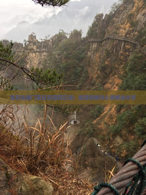 宜宾去厦门菽庄花园四日游：旅游攻略与心得体会分享