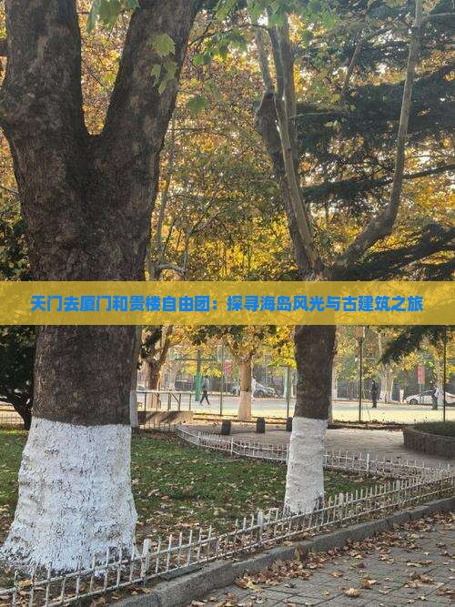 天门去厦门和贵楼自由团：探寻海岛风光与古建筑之旅