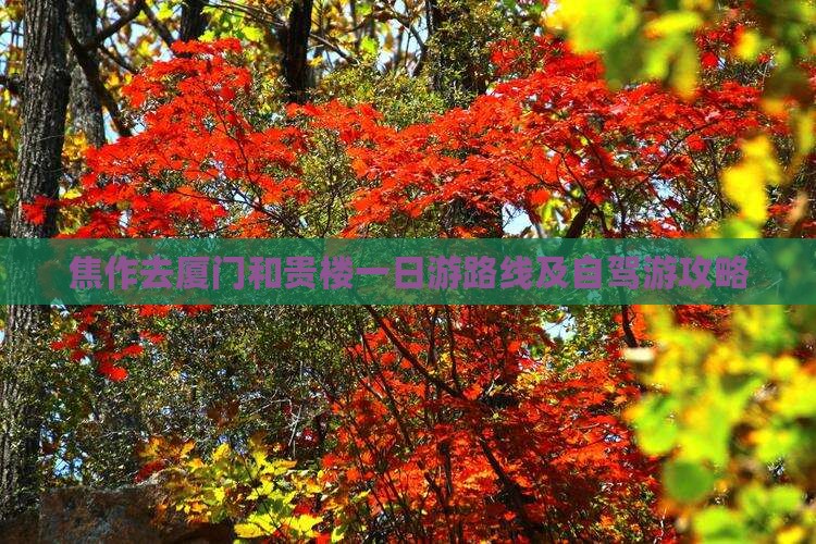 焦作去厦门和贵楼一日游路线及自驾游攻略