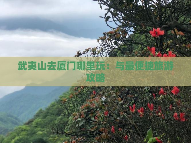 武夷山去厦门哪里玩：与最便捷旅游攻略