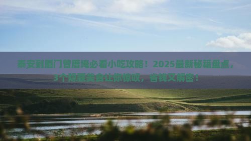 泰安到厦门曾厝埯旅游小吃