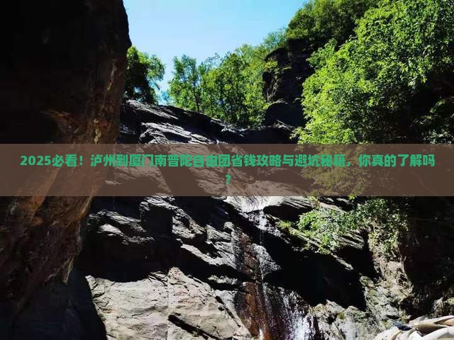 泸州到厦门南普陀自由团
