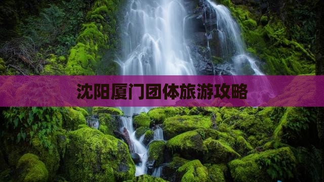 沈阳到厦门团体旅游