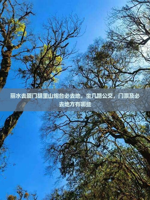 丽水去厦门胡里山炮台必去地