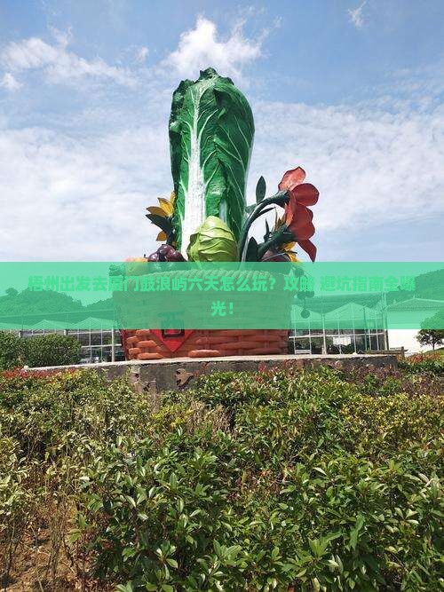 梧州去厦门鼓浪屿六日游