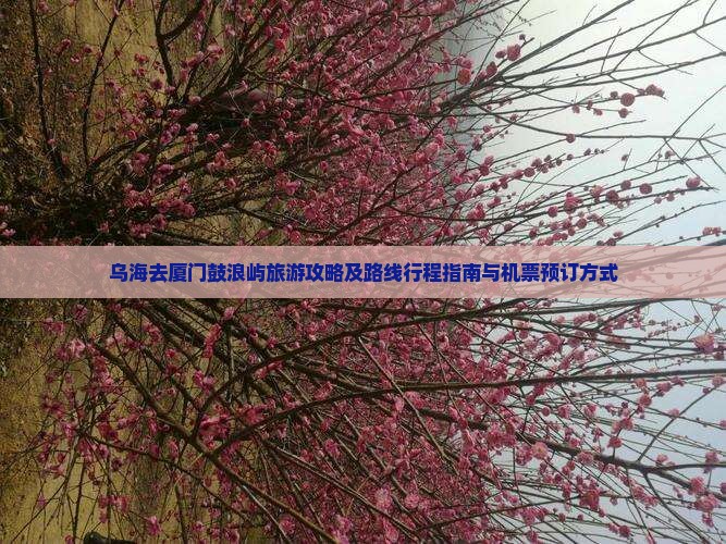 乌海去厦门鼓浪屿旅游攻略及路线行程指南与机票预订方式