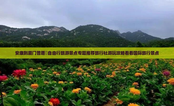 安康到厦门曾厝垵自由行旅游景点专题推荐旅行社游玩攻略看看国际旅行景点