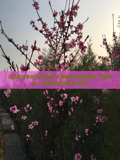 如何组织肇庆出发至厦门及贵楼的大型旅游团？行程安排、费用预算及报名方式详解