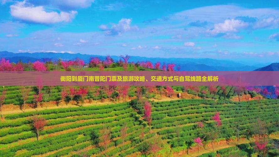 衡阳到厦门南普陀门票及旅游攻略、交通方式与自驾线路全解析
