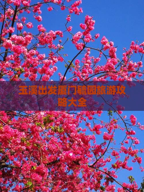 玉溪出发厦门毓园旅游攻略大全