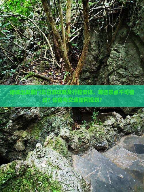 诸城出发厦门五日游攻略及行程安排，哪些景点不可错过？住宿与交通如何规划？