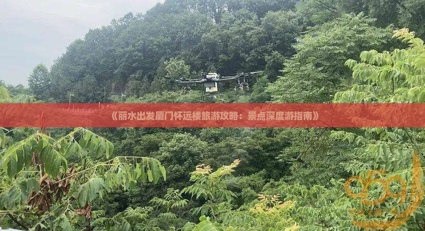 《丽水出发厦门怀远楼旅游攻略：景点深度游指南》
