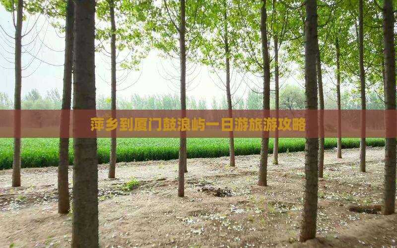 萍乡到厦门鼓浪屿一日游旅游攻略