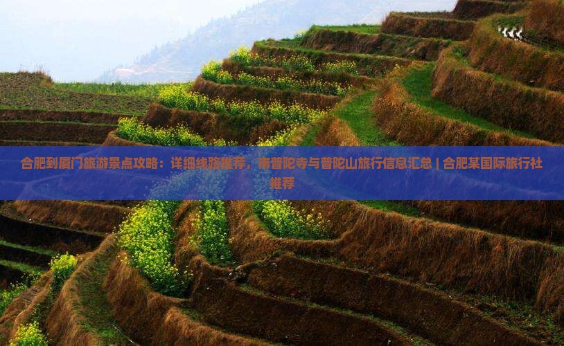 合肥到厦门旅游景点攻略：详细线路推荐，南普陀寺与普陀山旅行信息汇总 | 合肥某国际旅行社推荐