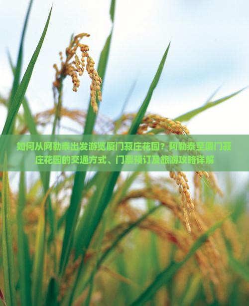 如何从阿勒泰出发游览厦门菽庄花园？阿勒泰至厦门菽庄花园的交通方式、门票预订及旅游攻略详解
