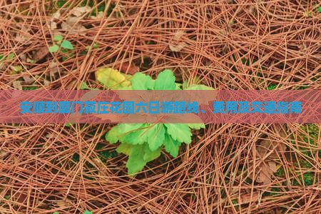 安顺到厦门菽庄花园六日游路线、费用及交通指南