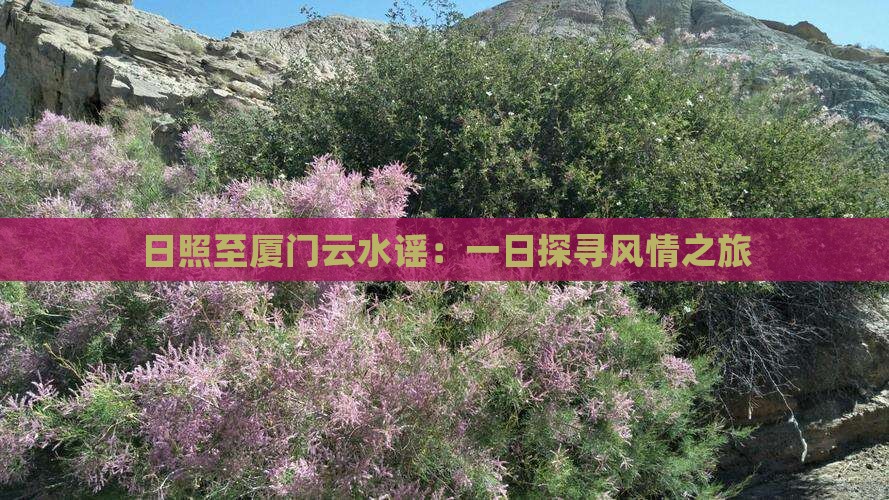 日照至厦门云水谣：一日探寻风情之旅