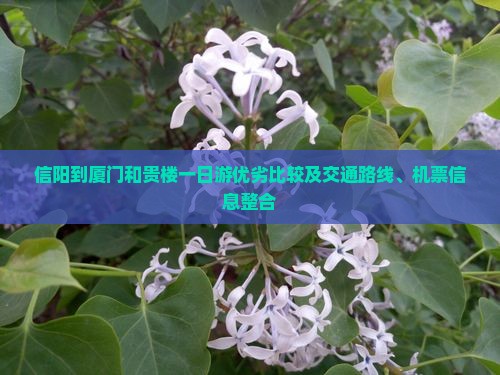 信阳到厦门和贵楼一日游优劣比较及交通路线、机票信息整合